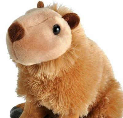 aardvark plush